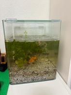 Gehele set, Ophalen, Zo goed als nieuw