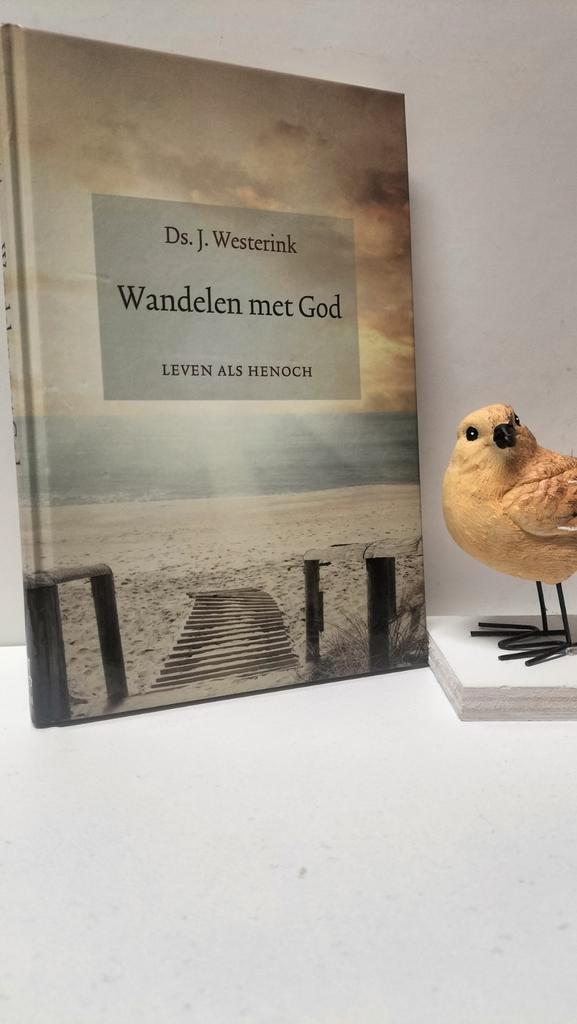 Westerink, Ds. J.; Wandelen met God (leven als Henoch), Boeken, Godsdienst en Theologie, Gelezen, Christendom | Protestants, Ophalen of Verzenden