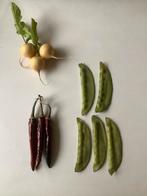 Keukendecoratie kunst, Ophalen of Verzenden