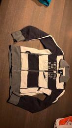 Gaastra vest wit/ donkerblauw mts, Ophalen of Verzenden, Zo goed als nieuw, Maat 36 (S), Wit
