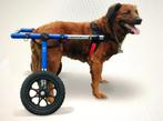 Walkin wheels handicapped pets, Dieren en Toebehoren, Zo goed als nieuw, Ophalen