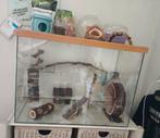 Hamster terrarium / verblijf van glas heel compleet, Dieren en Toebehoren, Knaagdieren en Konijnen | Hokken en Kooien, Zo goed als nieuw