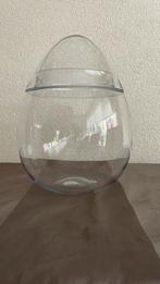 Glazen pot hydrocultuur planten, Ophalen of Verzenden, Halfschaduw, Minder dan 100 cm