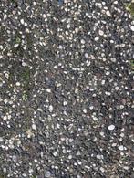 Betontegels / grindtegels - 48m² (gratis), Tuin en Terras, Ophalen, Overige materialen, Gebruikt, Grind