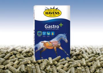Havens Gastro + || bezorgen en afhalen regio Krimpenerwaard beschikbaar voor biedingen