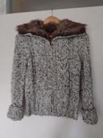 Dames vest., Wonder Woman, Ophalen of Verzenden, Zo goed als nieuw, Maat 38/40 (M)