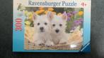 Puzzel 300 stukjes West highland terriers, Ophalen of Verzenden, Minder dan 500 stukjes, Nieuw