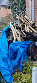 Berken takken en stammen, Tuin en Terras, Haardhout, Minder dan 3 m³, Ophalen, Berkenhout, Takken