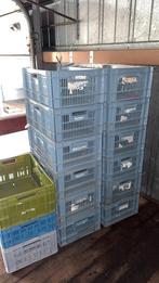 15 opstapelbare kratten schuur magazijn, Doe-het-zelf en Verbouw, Kratten en Dozen, Ophalen, 40 tot 60 cm, 50 tot 75 cm, Minder dan 35 cm