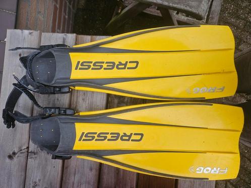 Duikvinnen, Watersport en Boten, Duiken, Gebruikt, Zwem- of Duikvliezen, Ophalen