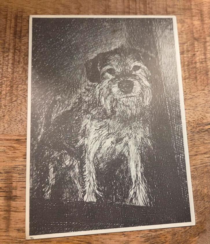 Border Terriër - zwart-wit tekening - hond, Verzamelen, Ansichtkaarten | Dieren, Gelopen, 1980 tot heden, Hond of Kat, Verzenden