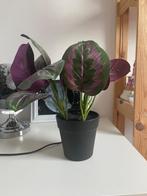 Kunstplant met roze bladeren, Ophalen, Zo goed als nieuw, Binnen