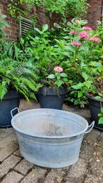 ZINKEN TEIL, Tuin en Terras, Ophalen, Gebruikt, Metaal, 30 tot 60 cm