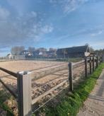 Kleinschalige doe-het-samen stal te Almere-Hout!, Dieren en Toebehoren, Stalling en Weidegang, Weidegang, 1 paard of pony