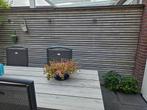 Hardhouten latten en palen., Ophalen