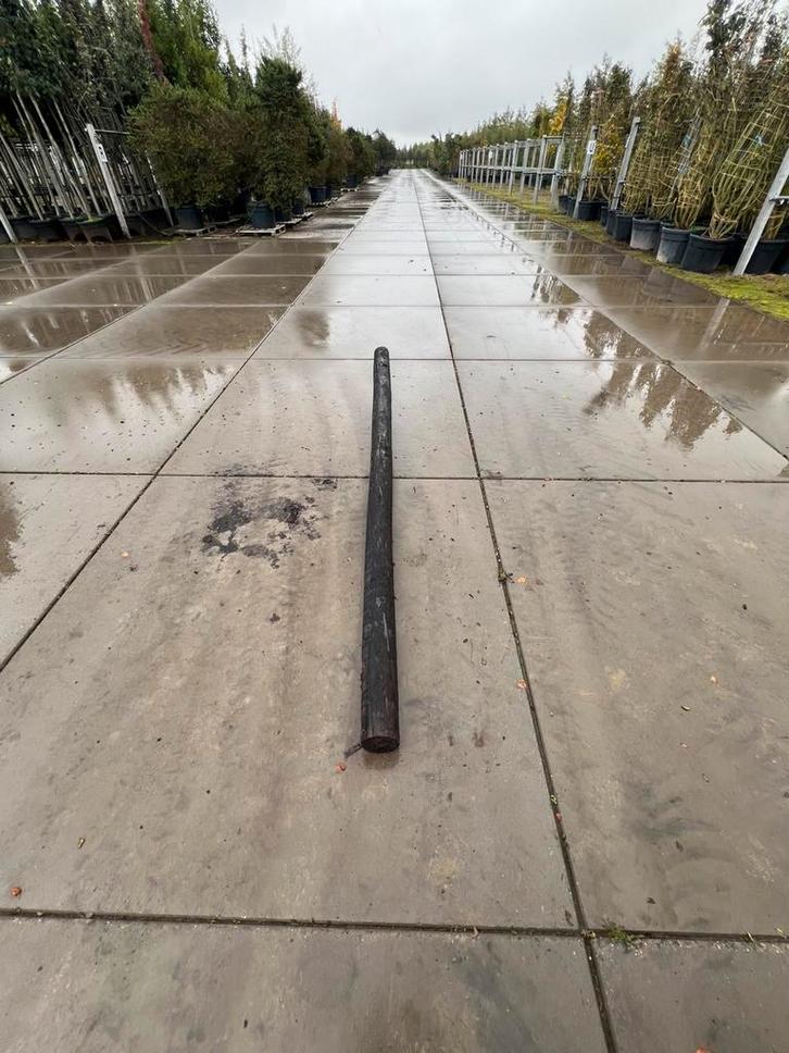 Carbolineum  palen, Tuin en Terras, Palen, Balken en Planken, Gebruikt, Palen, 250 cm of meer, Ophalen