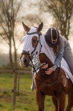 Lease paard/Bruikleen paard Gezocht Verplaatsbaar, Dieren en Toebehoren, Meerdere dieren, Recreatiepaard, 11 jaar of ouder