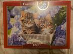 Castorland Cute Kittens Puzzel, Ophalen of Verzenden, Zo goed als nieuw