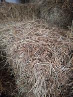 Kleine baaltjes Biologisch onbespoten hooi te koop, Dieren en Toebehoren, Dierenvoeding, Ophalen, Vee