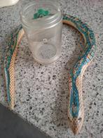 SLANG EN INSECTENLOEP, Ophalen of Verzenden, Gebruikt