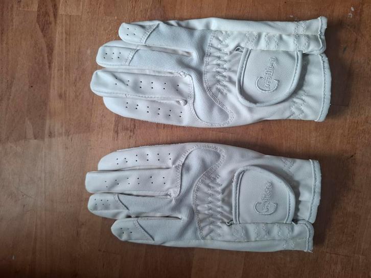 Handschoenen en haarnetje, Dieren en Toebehoren, Paardrijkleding, Gebruikt, Dames, Overige typen, Dressuur, Ophalen of Verzenden