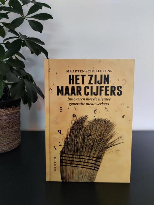 'Het zijn maar cijfers', Maarten Schellekens, Boeken, Politiek en Maatschappij, Nieuw, Maatschappij en Samenleving, Nederland