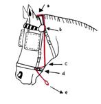 Bitloze neusriem met koord IDEAL mennen, Amerongerwetering 28, Verzenden, Paardenschuur, Info@paardenschuur.nl