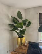 Nieuw Kunstplant Strelitzia Real Touch Deluxe 180 cm - NIEUW, Huis en Inrichting, Kamerplanten, Ophalen, Overige soorten, 150 tot 200 cm