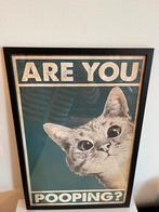 Grappige katten poster, Ophalen of Verzenden, Zo goed als nieuw, A1 t/m A3, Dier of Natuur
