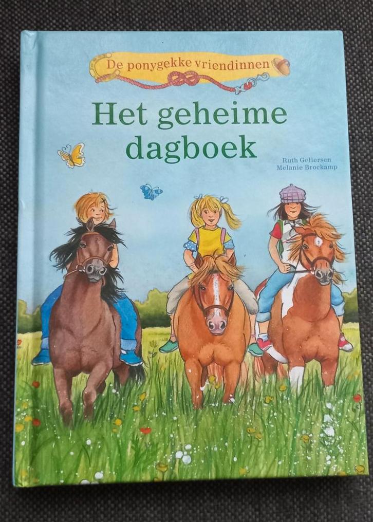 Het geheime dagboek - Ponygekke vriendinnen, Boeken, Kinderboeken | Jeugd | onder 10 jaar, Gelezen, Fictie algemeen, Ophalen of Verzenden