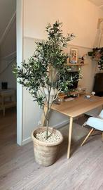 Olijfboom kunstplant 180cm, Huis en Inrichting, Ophalen, Zo goed als nieuw