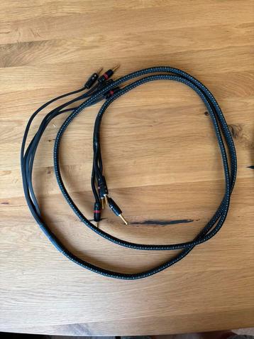  prachtige Audioquest luidspreker kabel van 2.5 meter beschikbaar voor biedingen