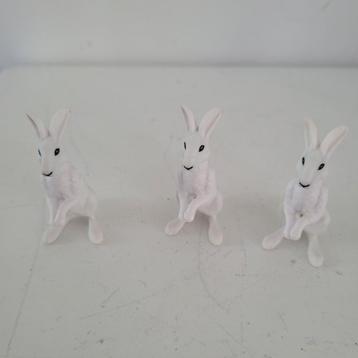 3 Witte hazen beschikbaar voor biedingen