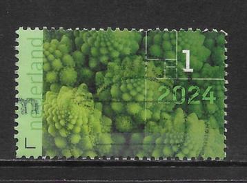 2024, Vormentaal, Fractal, Bloemkool [....] (K1413) beschikbaar voor biedingen