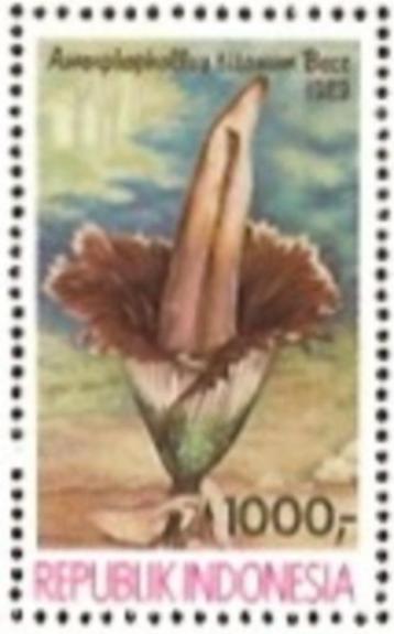 Indonesie Zonnebloem nr 1364A postfris 1989 beschikbaar voor biedingen