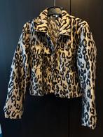 ZGAN Zoso Dalia Jasje - Maat M, Maat 38/40 (M), Overige kleuren, Ophalen of Verzenden, Zo goed als nieuw