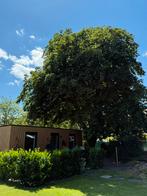 Tiny house te huur exloo (drenthe)