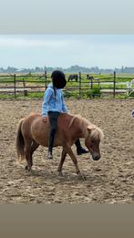 verzorgster aangeboden, Dieren en Toebehoren, Ophalen of Verzenden
