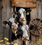 Geweldige tuinposter van 180/180 cm, Tuin en Terras, Verzenden, Nieuw