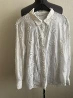 Leuke Blouse van Ivy maat XL, Kleding | Dames, Blouses en Tunieken, Ophalen of Verzenden, Gedragen, Maat 46/48 (XL) of groter