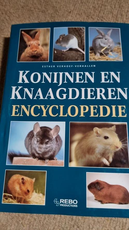 E. Verhoef-Verhallen - Konijnen en knaagdieren encyclopedie, Boeken, Dieren en Huisdieren, Zo goed als nieuw, Konijnen of Knaagdieren