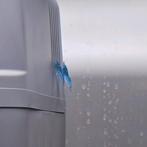 Blue Dream Garnalen - Neocaridina, Dieren en Toebehoren, Kreeft, Krab of Garnaal, Zoetwatervis