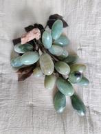 Prachtig! Grote Vintage druiventros jade, Ophalen of Verzenden