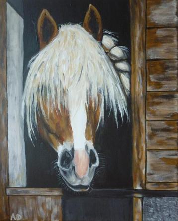 Paard beschikbaar voor biedingen