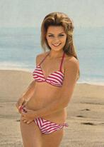 Oude Pin Up, Pinup, Naakt, Erotiek Kaart - Bijgeknipt!!, Verzenden, 1960 tot 1980, Ongelopen, Overige thema's