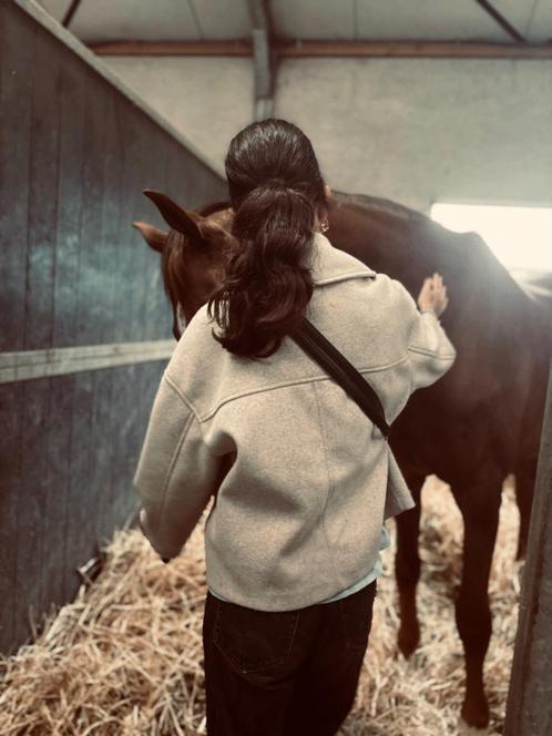 Verzorger/leaser aangeboden!, Dieren en Toebehoren, Paarden en Pony's | Verzorgingsproducten, Ophalen of Verzenden