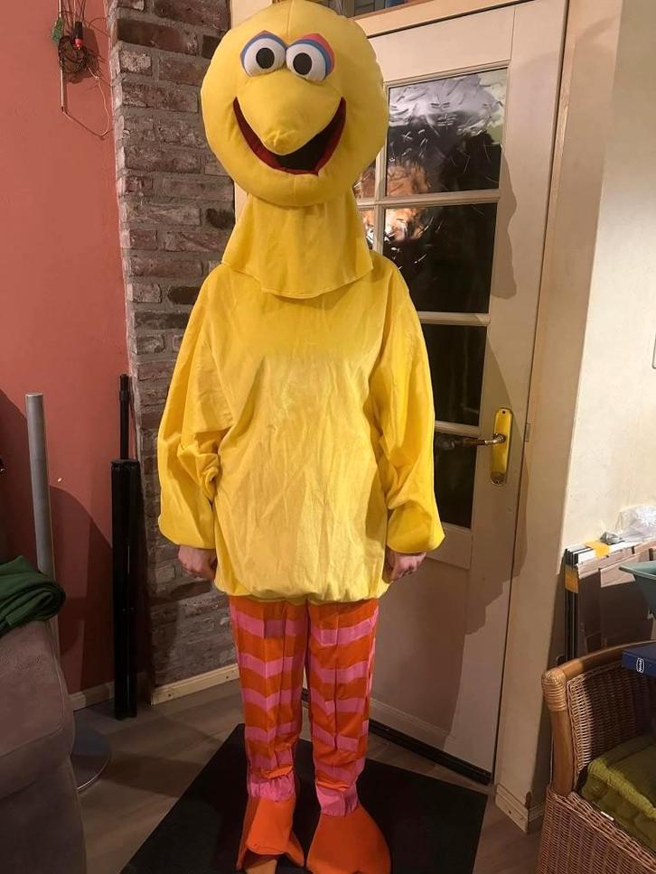 carnaval, Kleding | Dames, Carnavalskleding en Feestkleding, Zo goed als nieuw, Carnaval, Ophalen