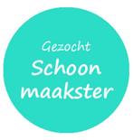 Huishoudelijk hulp/ schoonmaakster gezocht, Diensten en Vakmensen, Huishoudelijke hulp