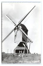 Mierlo, Molen met Hertenkamp, Verzamelen, Ansichtkaarten | Nederland, Verzenden, 1960 tot 1980, Gelopen, Noord-Brabant