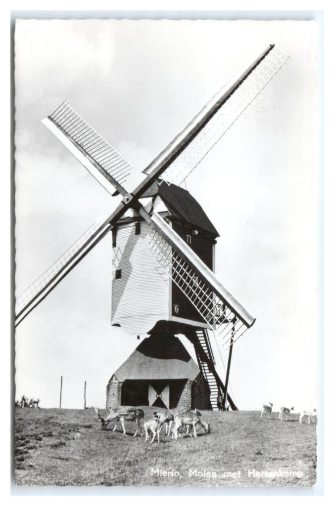Mierlo, Molen met Hertenkamp, Verzamelen, Ansichtkaarten | Nederland, Gelopen, Noord-Brabant, 1960 tot 1980, Verzenden